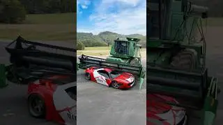 Harvesting season is here! That means Ferraris are being harvested for their dense nutrients 🤠