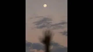 Loreen - Euphoria (SLOWED + REVERB)