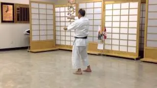 Mastering Nijushiho: Timing for Early Sequence - karate techniques by Shihan Marcel Lussier IKD