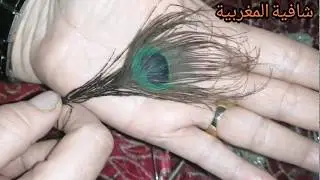 2 قبولات بالريشة تخليه يذوب فيك و لي شافك يتمناك