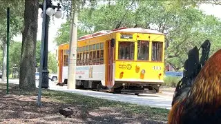 Tampa TECO Streetcar Line full route POV