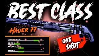 *1 Shot* Hauer 77 Best Class Setup for Black Ops Cold War Multiplayer