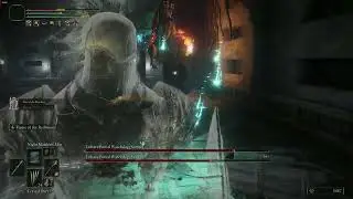 ELDEN RING Erdtree Burial Watchdog Duo Crystal darts Frenzy test