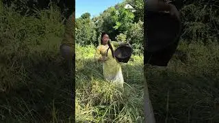 Ramailo ko lagi banayeko video #rabinalingden77 #Bhaluchowk #funny #comedy
