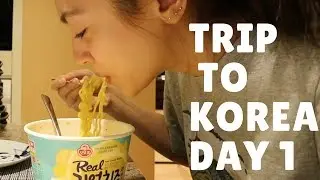 Trip to Korea Day 1 VLOG 21