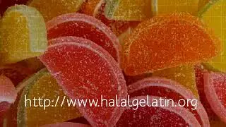 Halal Gelatin Food and Powder
