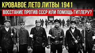 Свобода любой ценой? Литва 1941 и цена сотрудничества с НАЦИСТАМИ