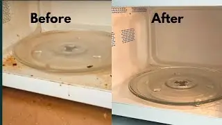 How To Clean Microwave The Proper Way