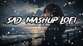 Hindi Lofi Mix 2025 🌙 Emotional Chill Beats for Late Night Focus & Study 🤡#chillbeats #chillmusic 