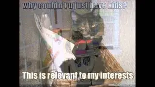 THE POP-PUNK CAT SONG