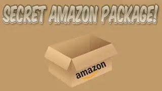 *NEW* SECRET AMAZON PACKAGE! (IRL Unboxing)