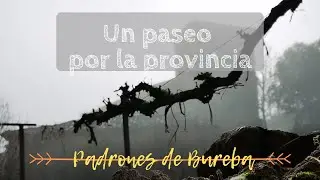 UN PASEO POR LA PROVINCIA | Padrones de Bureba