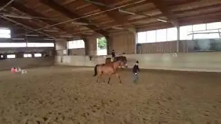 Die gemeinsame Freude am Pferdetraining: Das wichtigste f&uuml;r mich!