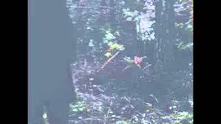 BRAINBOMBS clean up the mess █▬█ █ ▀█▀