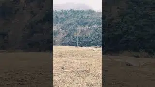 view of Himachal Pradesh 🖼️ #trendingshorts #explore #viral #edit