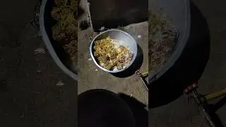 Spical Biryani:😋#shorts#ytshort #youtubeshorts #AR Vloge