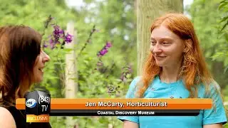 843TV | Jen McCarty: Gardens Around the Butterfly Enclosure | Coastal Discovery Museum | WHHITV