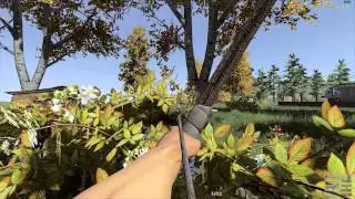 H1Z1: Bandit Life