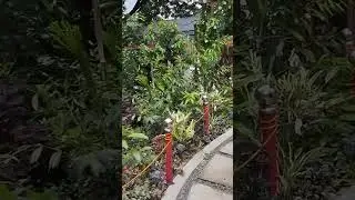 #coolsite resort montalban Rod.Rizal good for family gathering, with comfy amenities and nice view