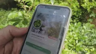APP OF THE DAY: Identify thousands of plants using the 'Blossom' app