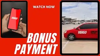Yango Daily Bonus payment | Daily payment Yango | Yango Bonus I Yango Bonus details I Bonus Yango