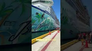 FREE Margaritaville Cruise for HEROES! You Qualify?