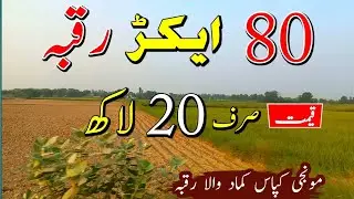 80 Acres Zameen Purchase | Agricultural Land for Sale in Punjab Pakistan | Episode 158