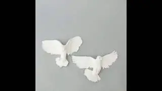 How to make a flying dove