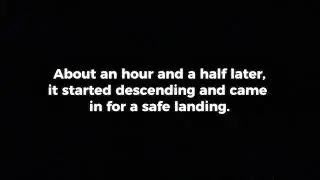 WestJet 737-7 Emergency Landing?😱