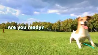 Banhuat.com