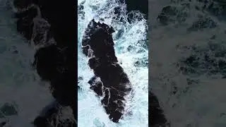 Nature's Pulse: The Sound of the Sea