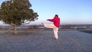 常式太極拳43式(快架)   (1.9)　2026東瀛太極拳社