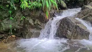 Soothing Moonlight River &ndash; Gentle Water Ambience for Deep and Restorative Sleep