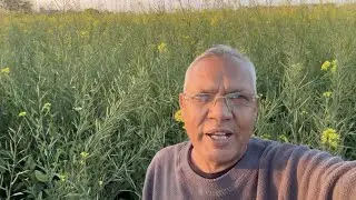 गेहू और आलू का पोधा कैसा होता है #rkvlog66 #farming #eveningwalk #viralvideo 