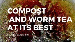 USING WORM TEA ON FALL CROPS