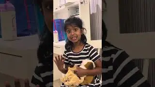 #safechennai #chennairains #chennai2024 #savepets #savestreetanimals #besafe