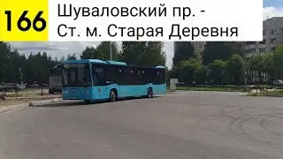 Автобус 166. Шуваловский пр. - Ст. м. Старая Деревня
