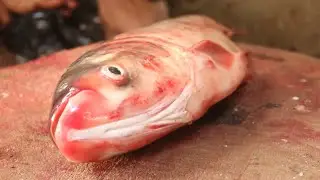 An Excellent Silver Carp Fish Cutting Video | Best Fish Cutting Video