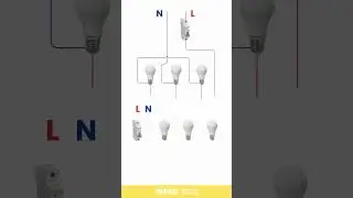 MCB Controlling Multiple Lights: Complete Wiring Diagram.