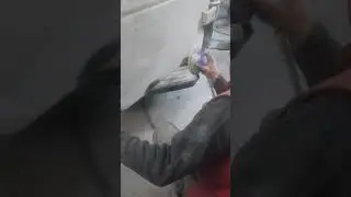 Cel mai mare vopsitor