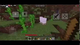Minecraft Survival Series Day 1 : stream | Minecraft Pocket Edition|