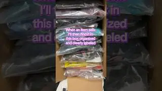 Organizing my reseller life What would you choose totes or bin?#resellercommunity  #parttimereseller