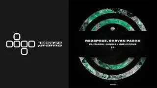 PREMIERE: Redspace & Shayan Pasha - Pantheon [WARPP]