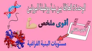 بكالوريا🔥وحدة العلاقة بين بنية وظيفة البروتين -مستويات البنية الفراغية |الجزء2