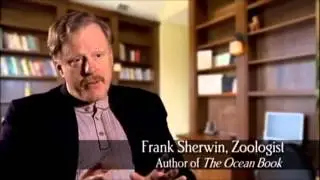 God of Wonders - Documentary HD