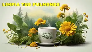 Descubre el secreto natural para respirar mejor