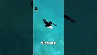 30天訓練，勝過10天瞎衝！｜Surfcheck