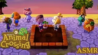 Animal Crossing New Leaf ASMR