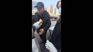 Chinese Street Food Livestream | POV Morning Snack Sales with Real Market Sounds