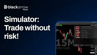 How to use the BlackArrow Simulator
